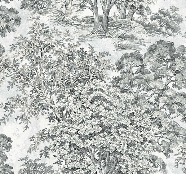 pencil_majestic-trees