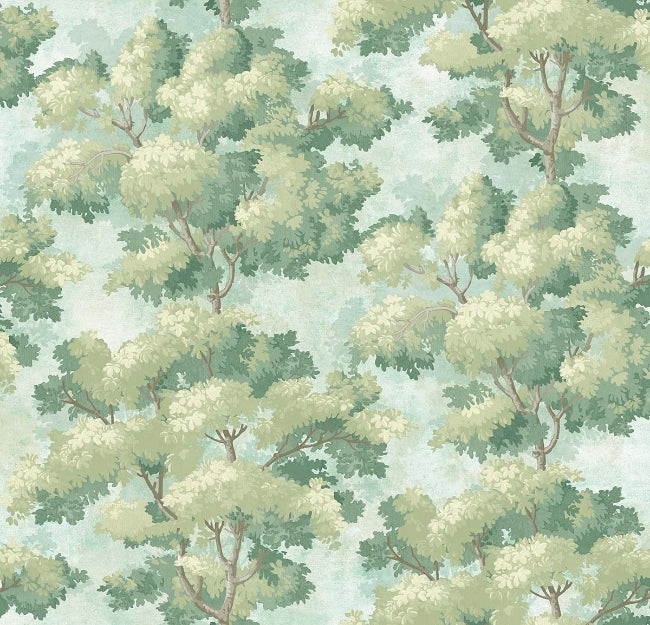avocado_reverie