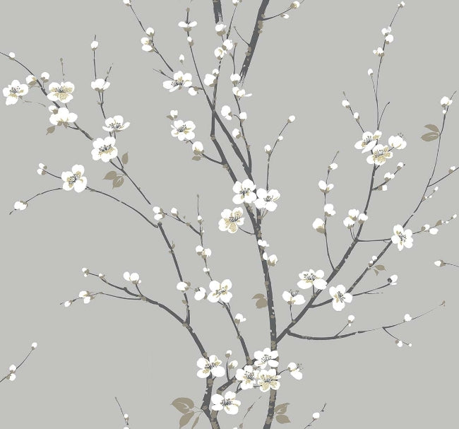 ash_cherry-branches