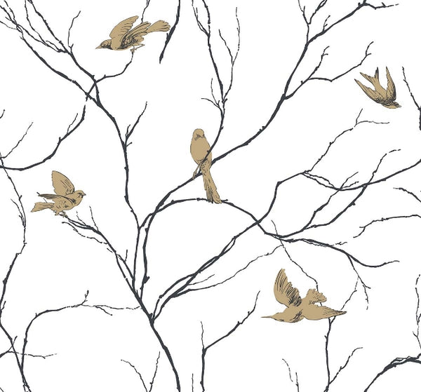contrasto_dreamy-birds