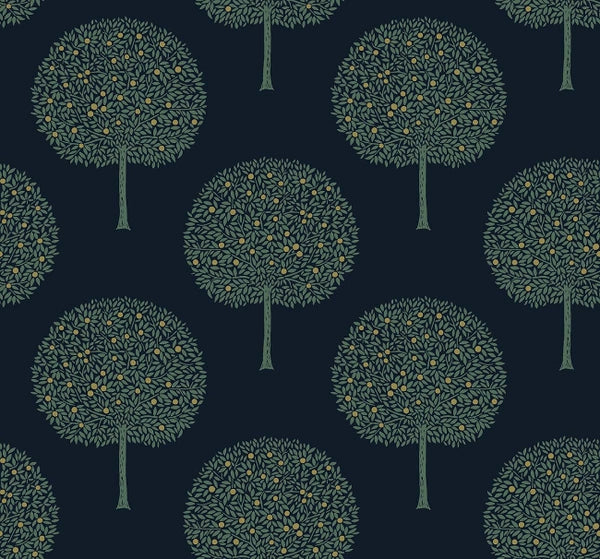 Space