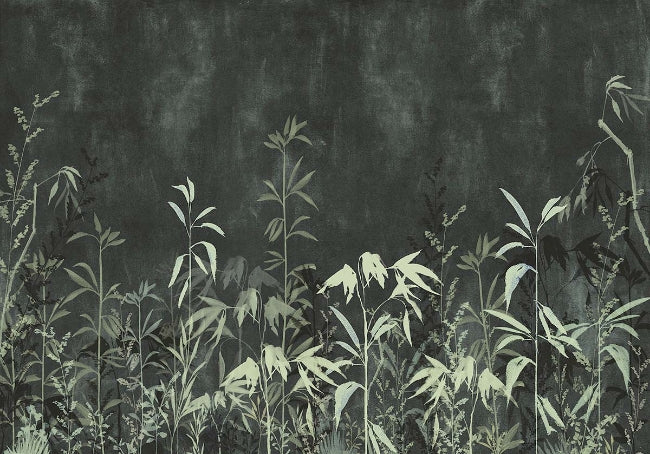 blacks_nero-perenne