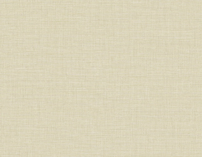 sun-kissed_ascend-plain