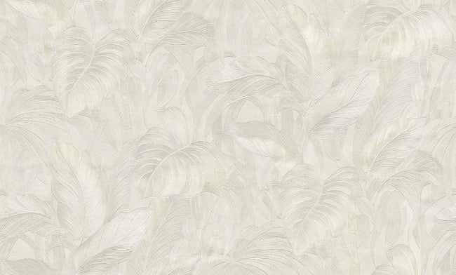pearl_voyage-monstera-pearl