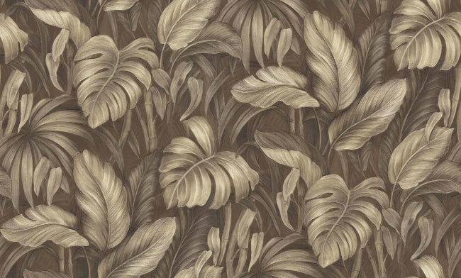coffee_voyage-monstera-coffee