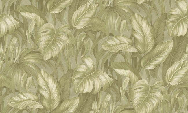 garden_voyage-monstera-garden
