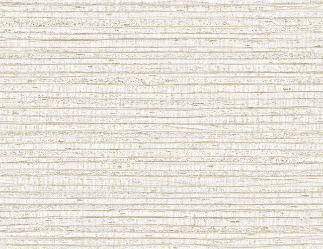 scallop_uggeshall