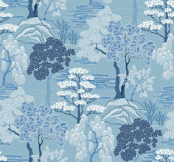 Oasis