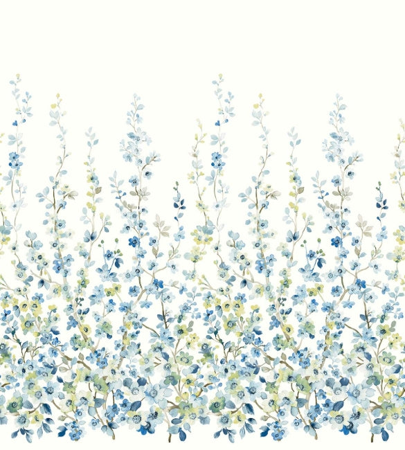 Bluebell