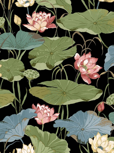 black_lotus-flower
