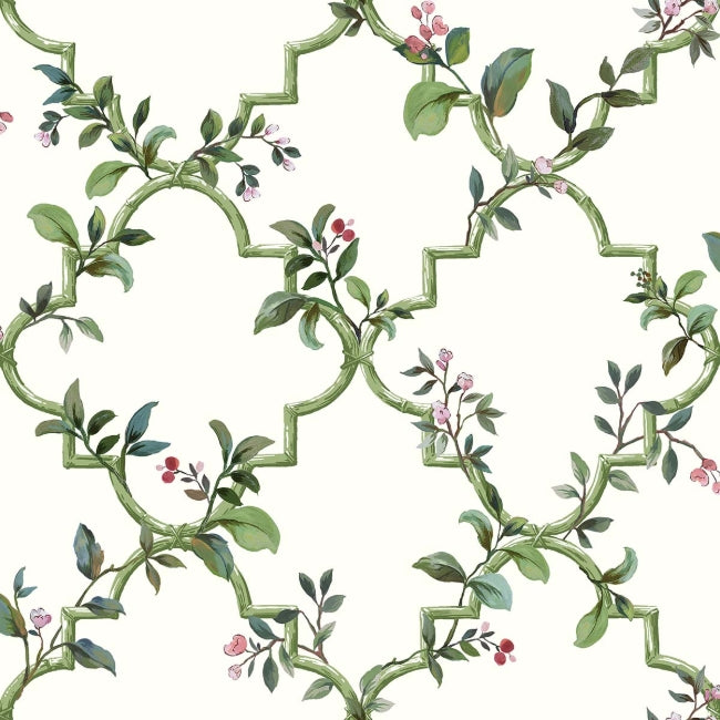 white-and-green_treillage