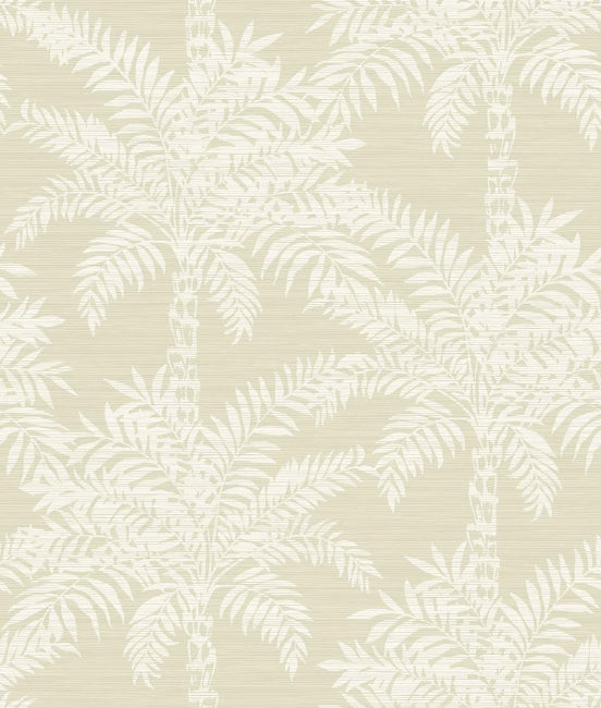 taupe_beach-palms-natural