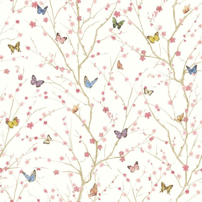white_papillon