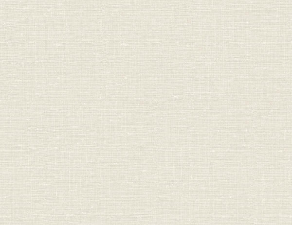 Plaster