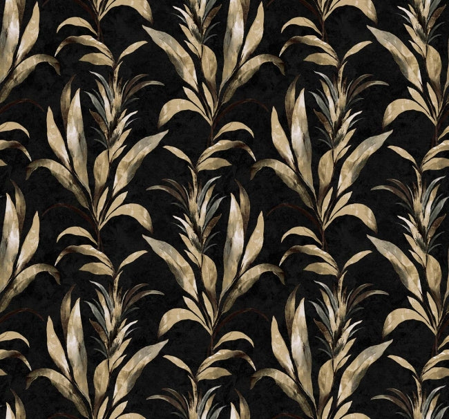 warm-black_padma