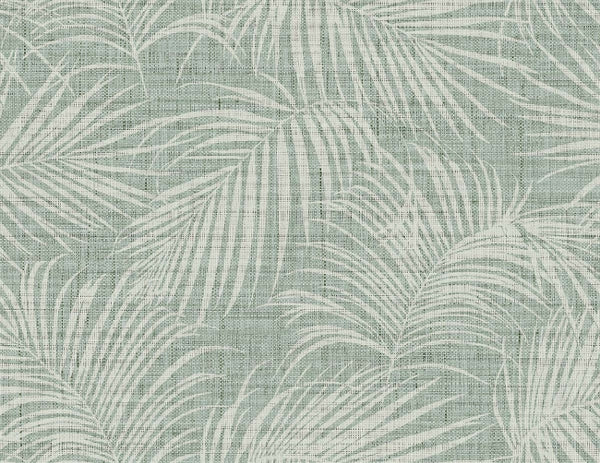 dune-grass_jiva