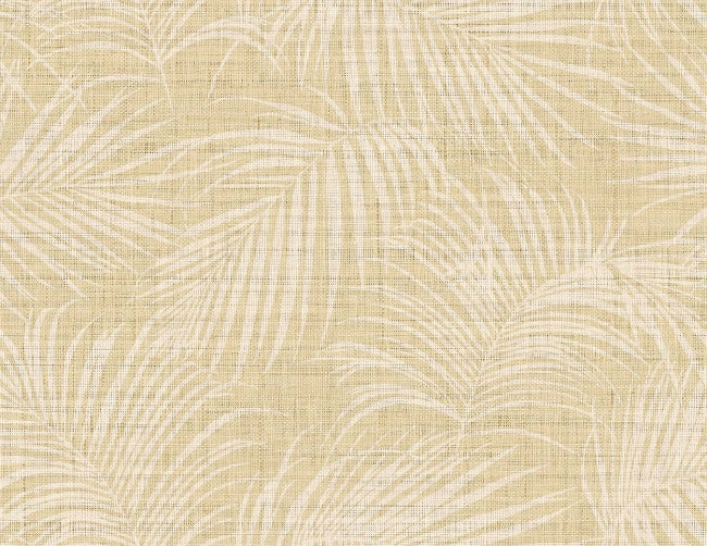 wheat_jiva