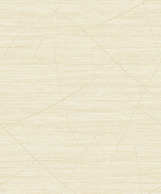 sand_bract