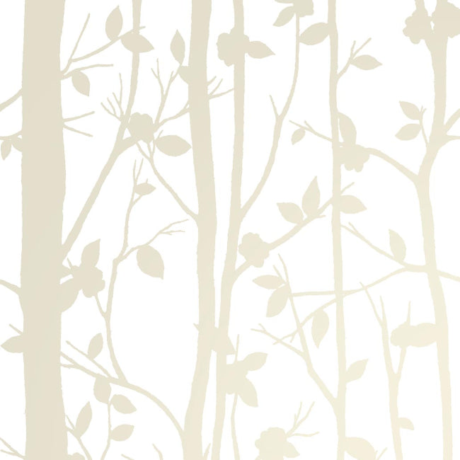 white_cottonwood