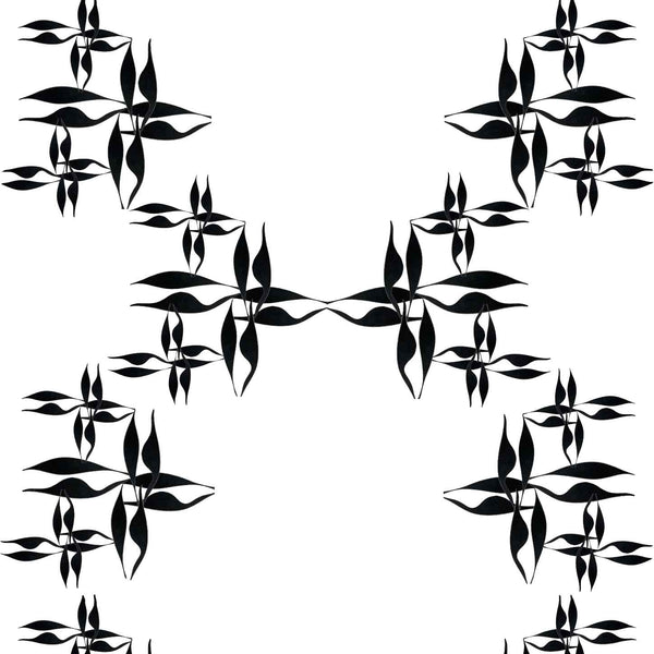 White Black