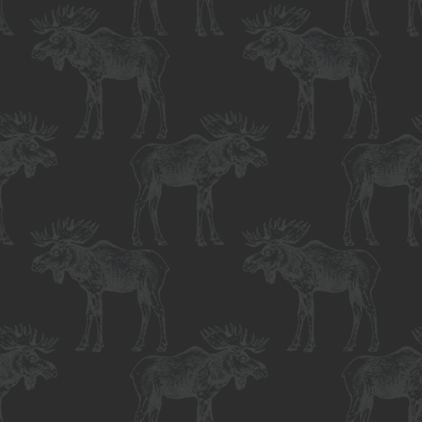 grey-black_grey mooses on a charcoal background
