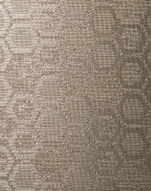 color-2_hexagon-inspiration