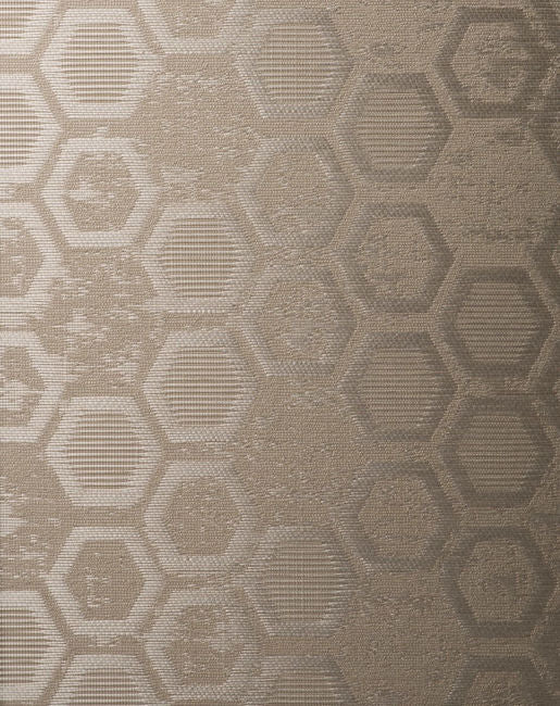color-3_hexagon-inspiration