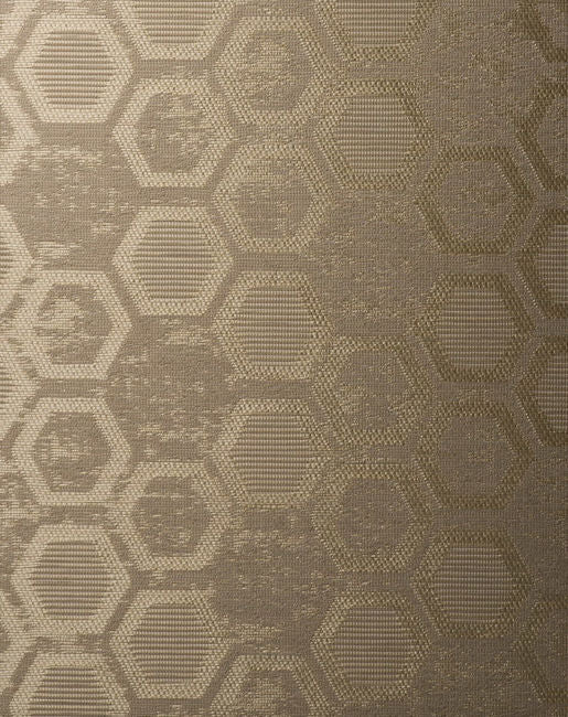 color-4_hexagon-inspiration