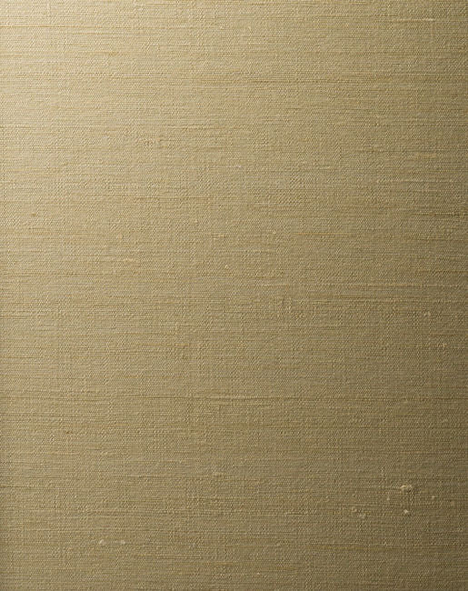 color-5_orissa-silk