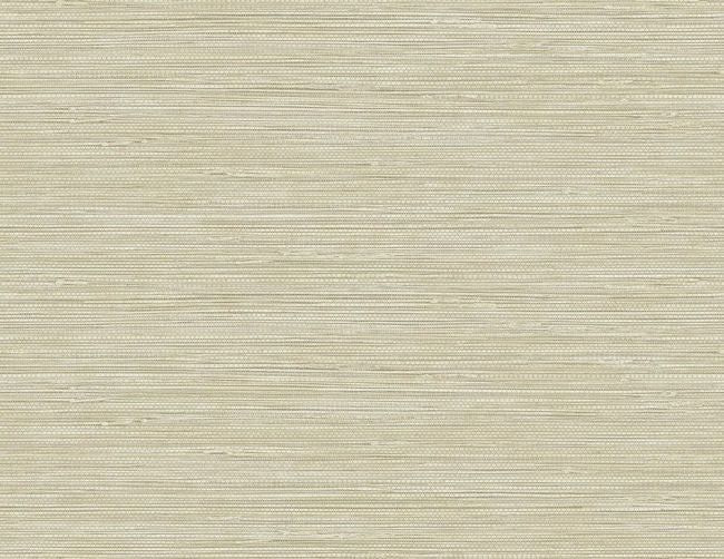 shea-butter_queenscroft-27-in