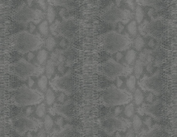 DimGrey