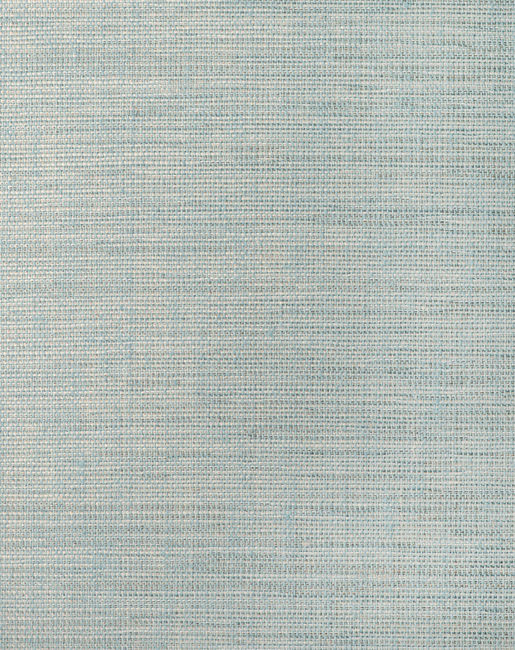Color 5