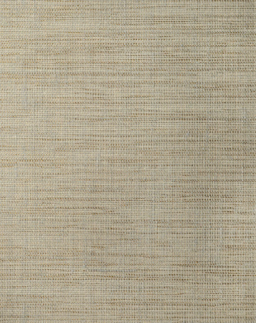Color 7