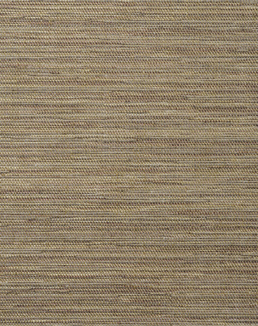 color-8_casalin
