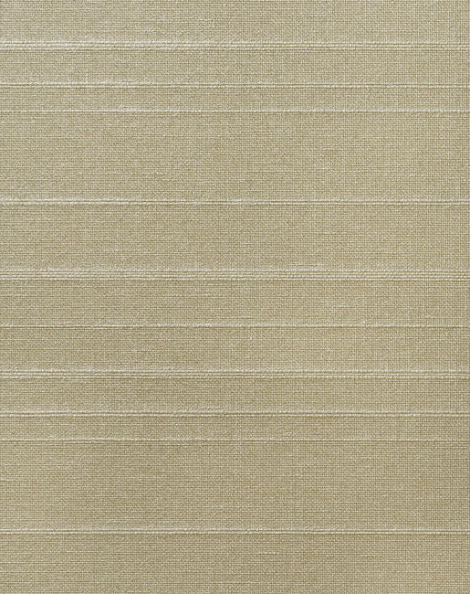 Color 4