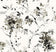 Inky Splatter