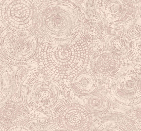 Wavelets