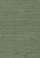 Brushed Sage