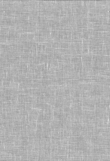 White Light Grey