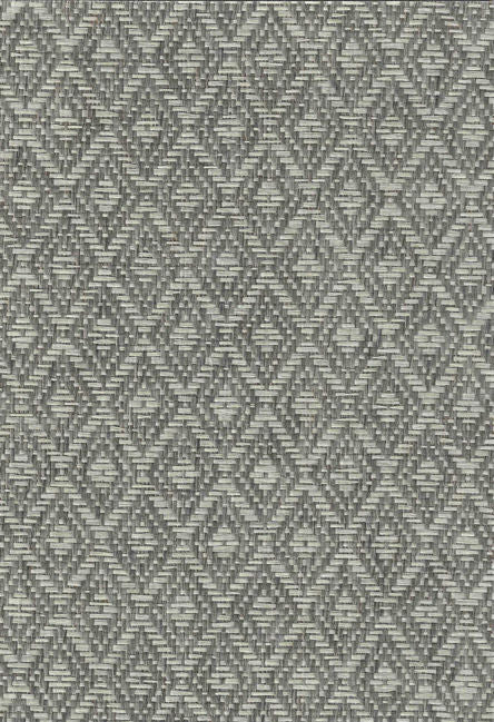 Grey Oyster