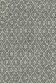 Grey Oyster