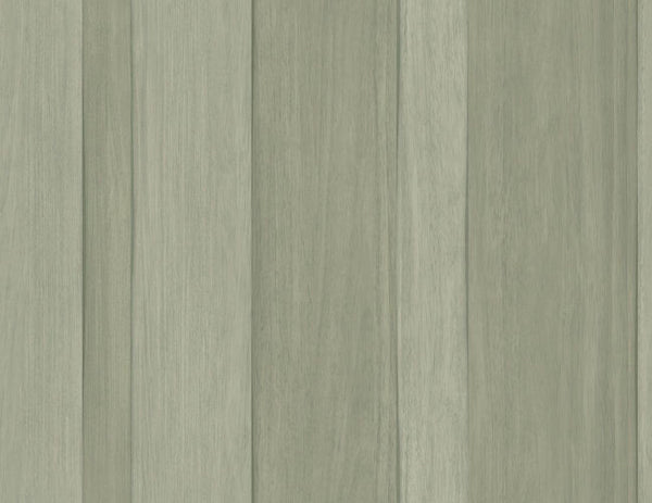 acanthus_radnor