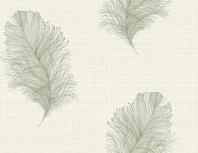 frosted-fern_roland