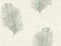 Frosted Fern
