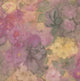 Lilac and Sage