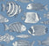 Blues 2
