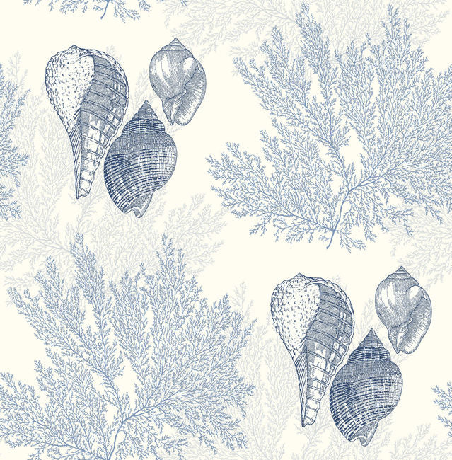 blues_nauset