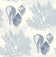 Blues