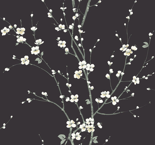 blacks_monterey