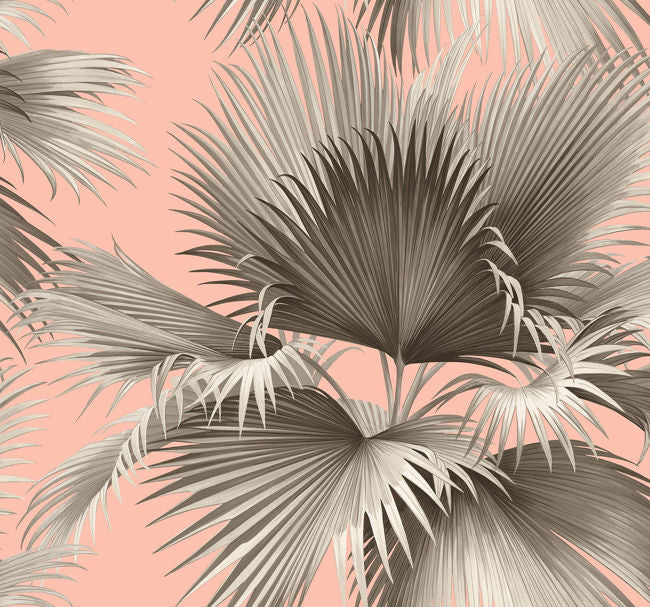 pinks_summer-palm